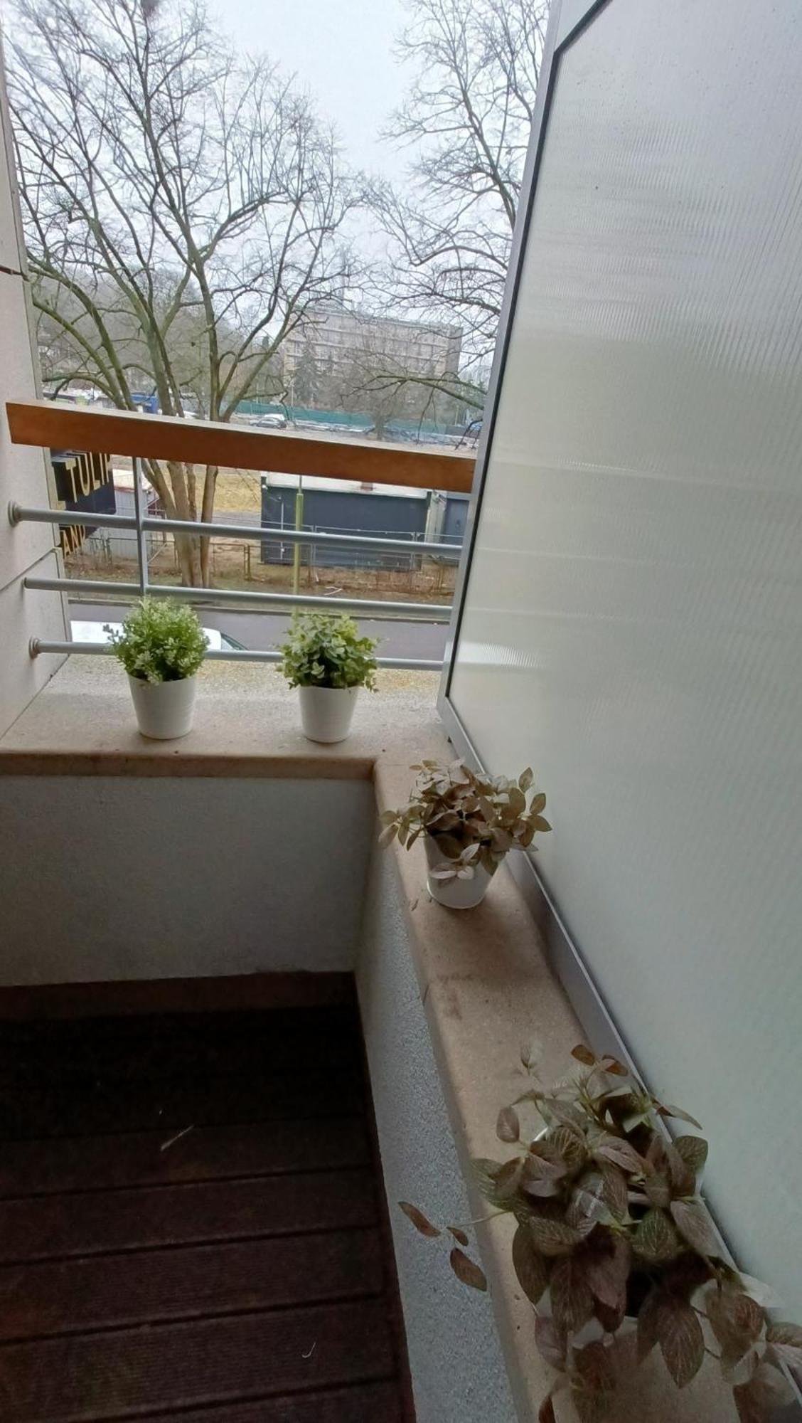 120 W 5 Gwiazdowym Royal Tulip Sand 200 M Od Plazy Dobruk Apartamenty Kołobrzeg Extérieur photo